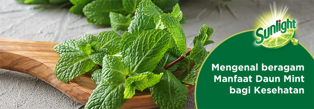 MENGENAL BERAGAM MANFAAT DAUN MINT BAGI KESEHATAN | Sunlight